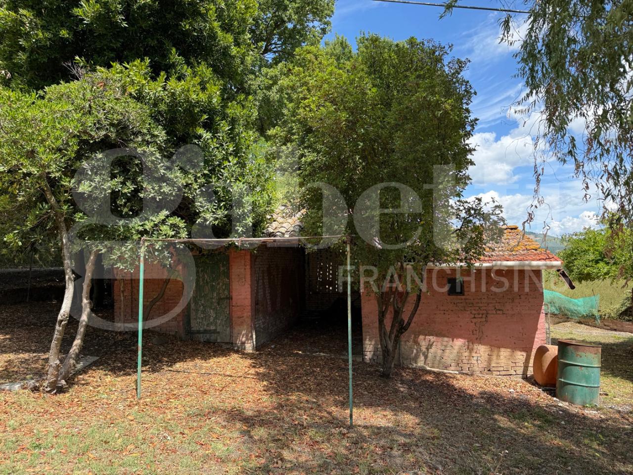 immagine annuncio 7 di 12