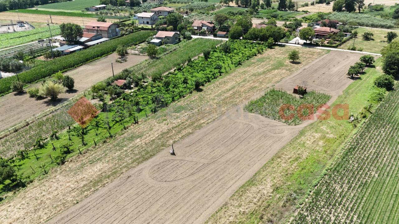 immagine annuncio 5 di 14