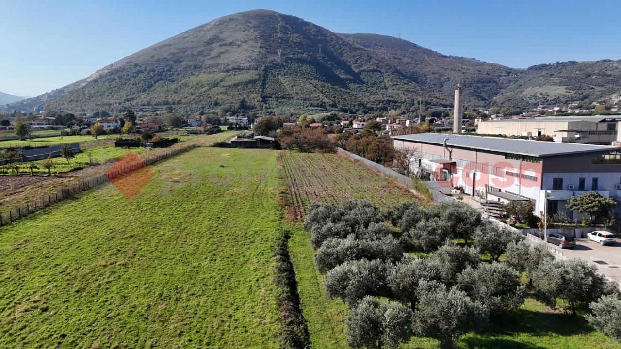 immagine annuncio 3 di 12
