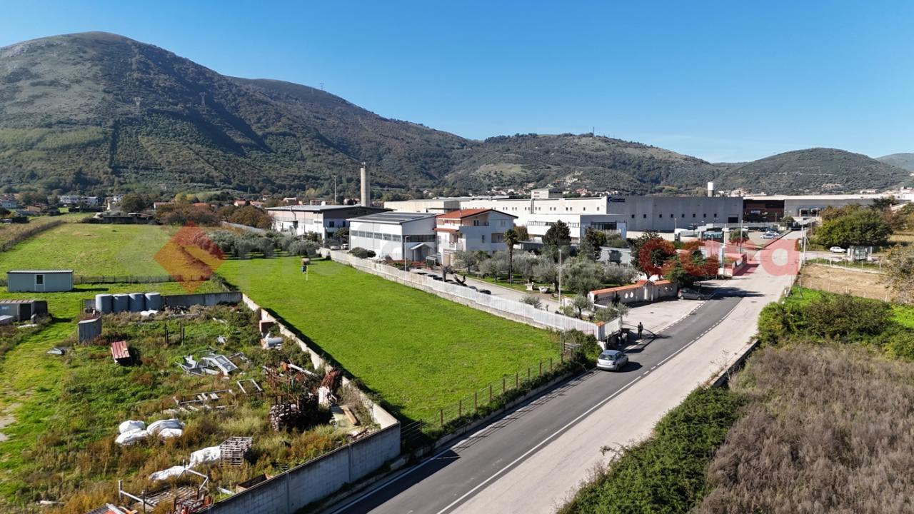 immagine annuncio 7 di 12