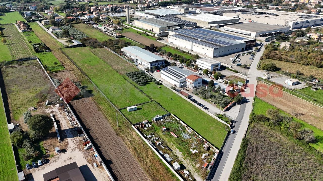 immagine annuncio 9 di 12