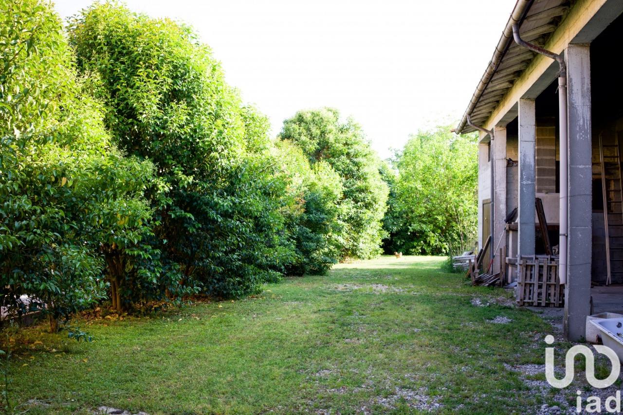 immagine annuncio 11 di 14