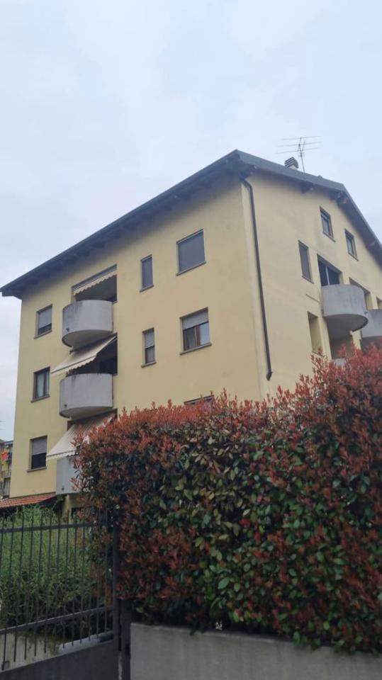 immagine annuncio 6 di 14