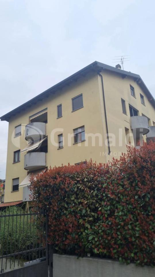 immagine annuncio 6 di 14