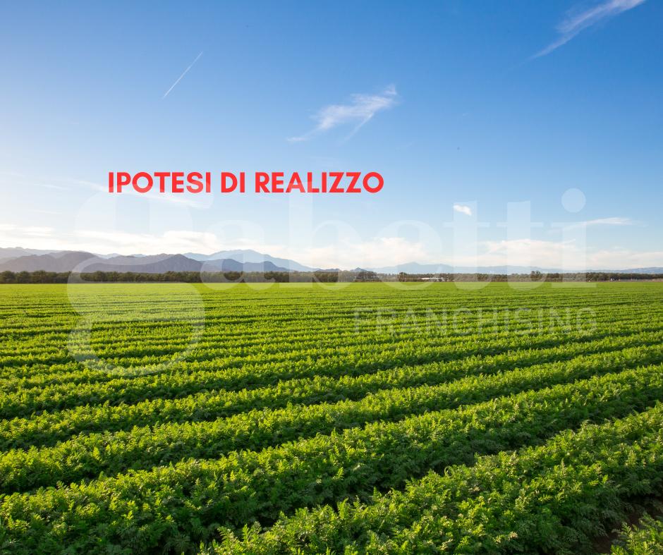 immagine annuncio 2 di 3