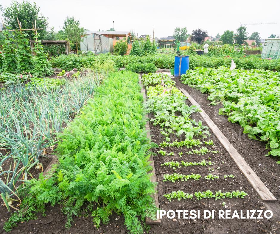 immagine annuncio 7 di 10