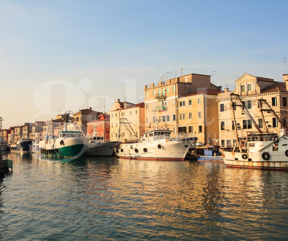 immagine annuncio 3 di 11