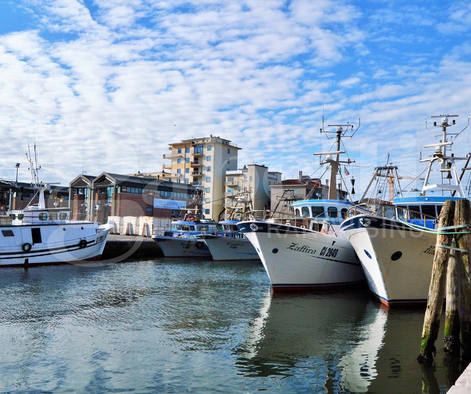 immagine annuncio 8 di 11