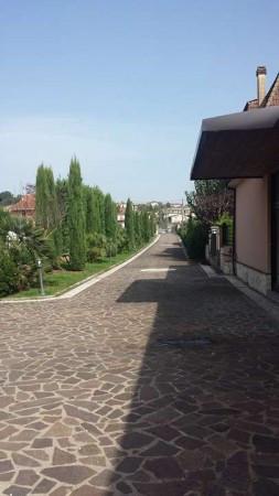 Negozio in Via per Frosinone, Ceccano, {3} - Foto 2