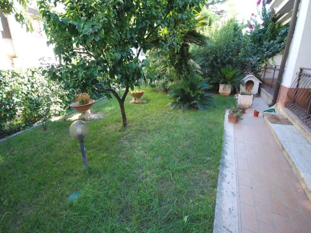 immagine annuncio 2 di 12
