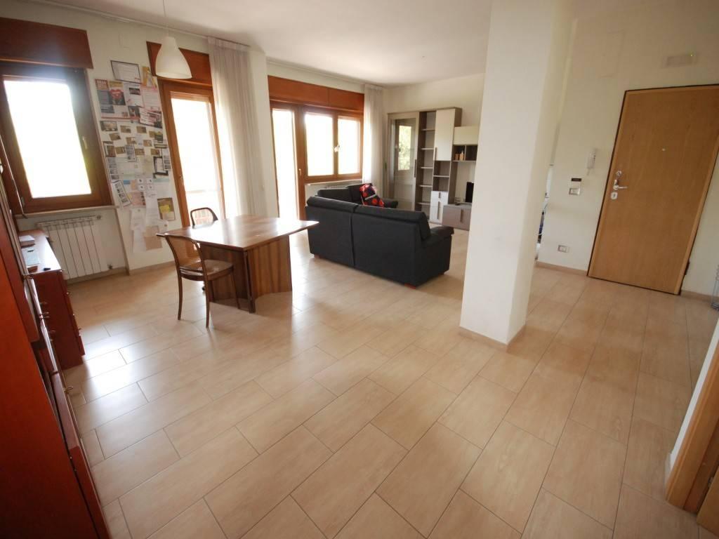 immagine annuncio 3 di 14