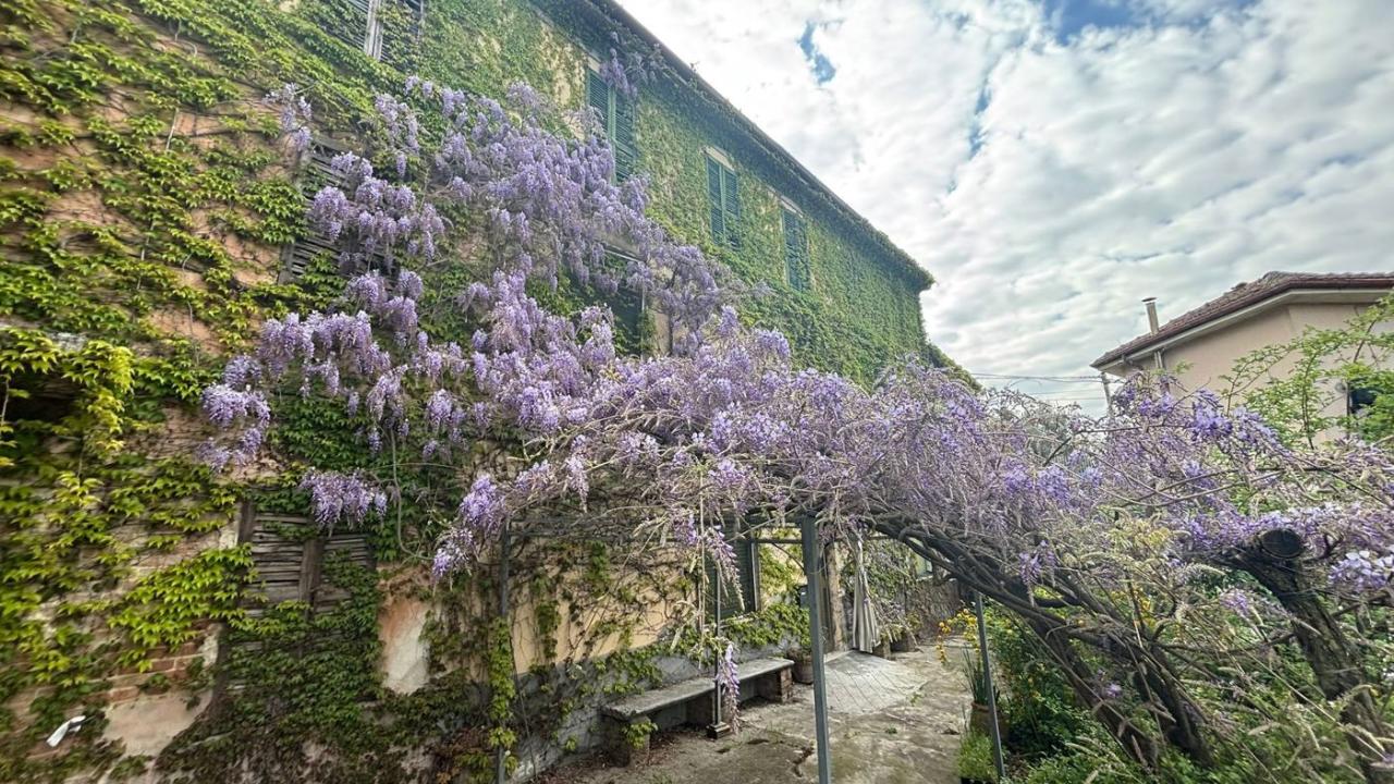 immagine annuncio 2 di 13