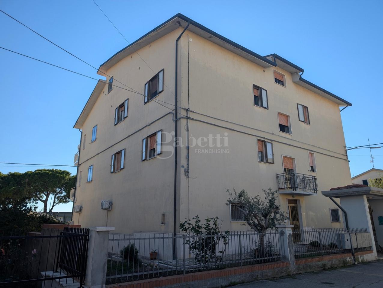 immagine annuncio 6 di 8