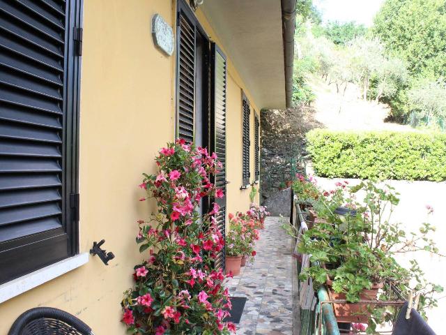 Mansion in Via di Vergaia, Capannori - Photo 1