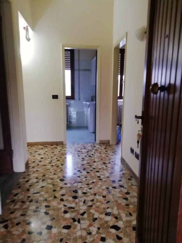 immagine annuncio 9 di 14