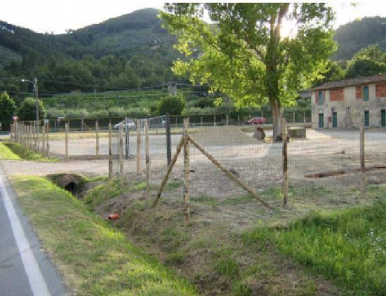 immagine annuncio 1 di 8