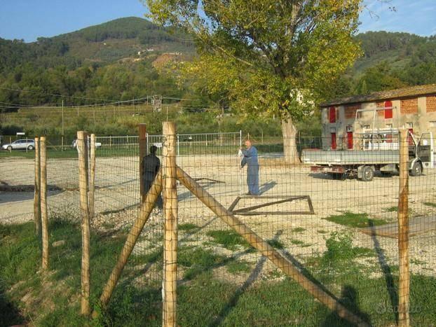 immagine annuncio 4 di 8