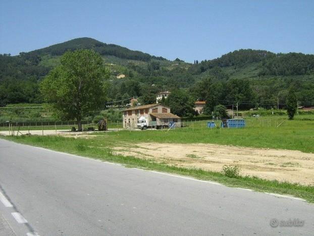 immagine annuncio 5 di 8