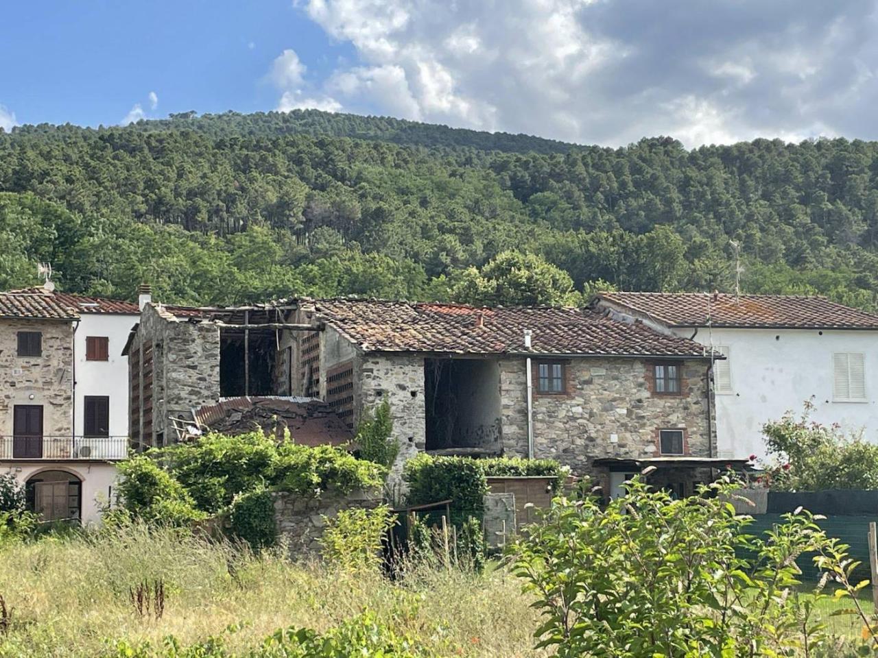 immagine annuncio 1 di 4