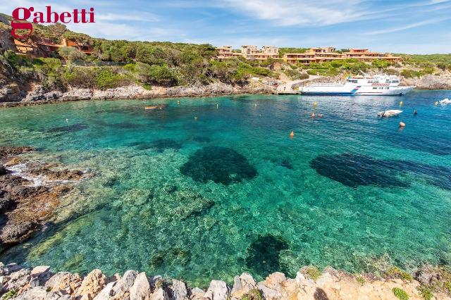 Villa in Cala Spalmatoio Snc, Isola del Giglio - Foto 1