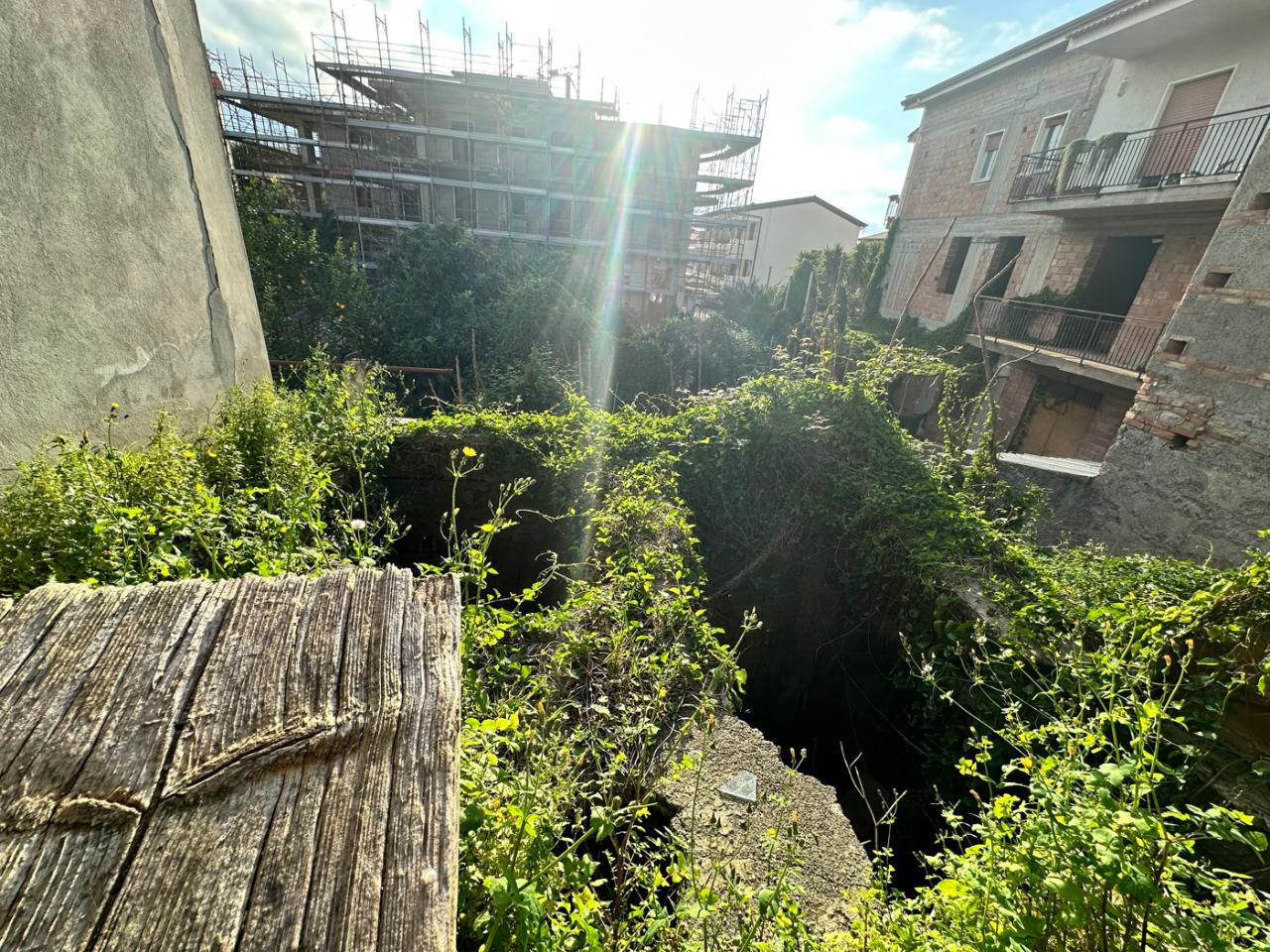 immagine annuncio 2 di 6