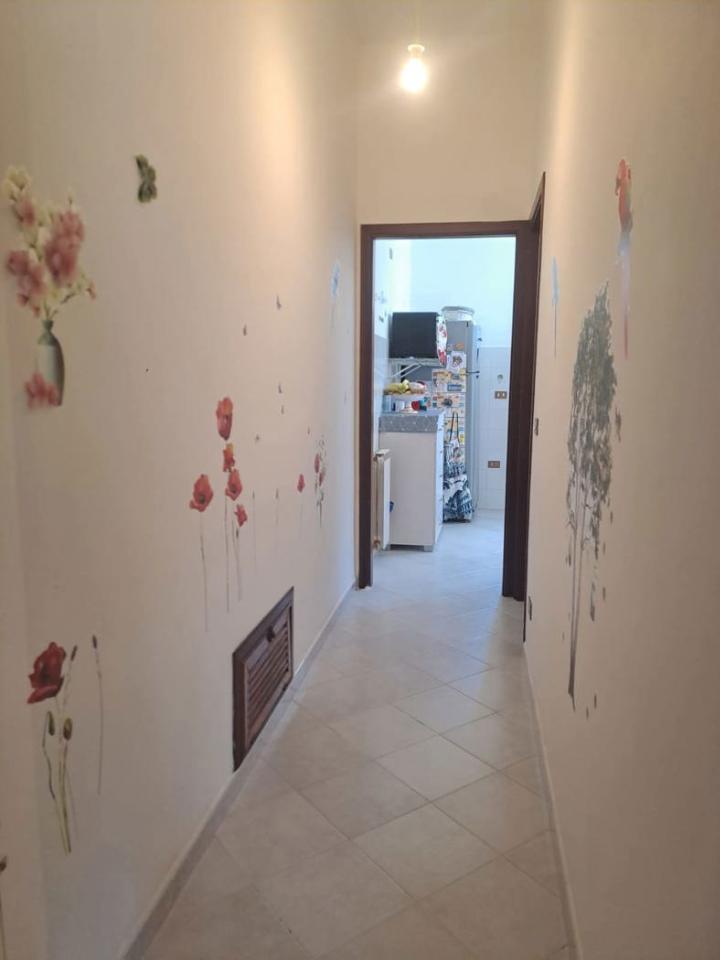 immagine annuncio 7 di 14