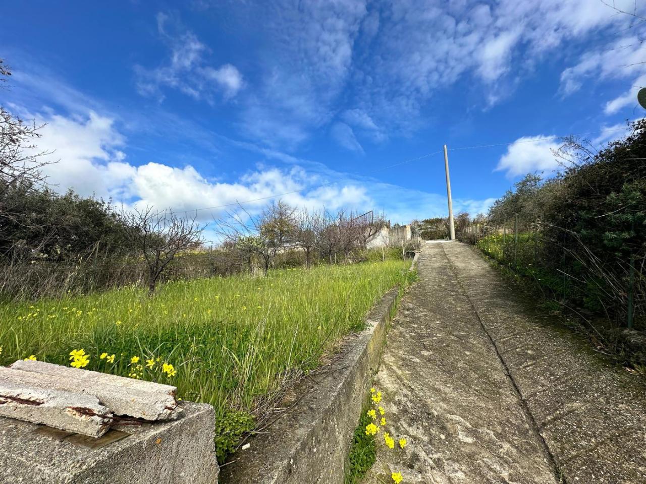 immagine annuncio 5 di 9