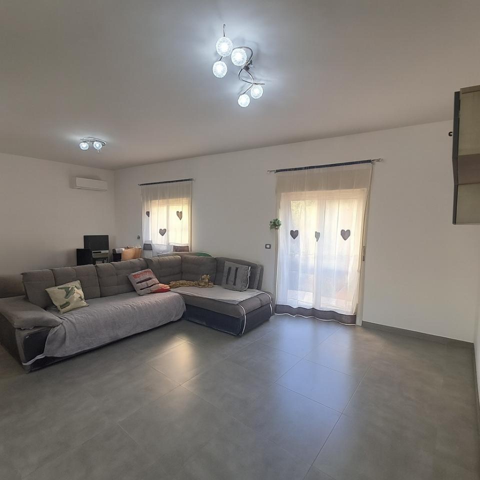 immagine annuncio 5 di 14