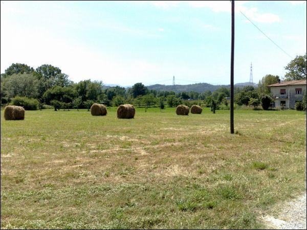 Agricultural land, Sarzana - Photo 1