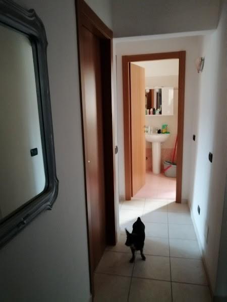 immagine annuncio 4 di 7