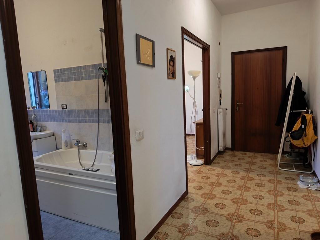 immagine annuncio 7 di 14