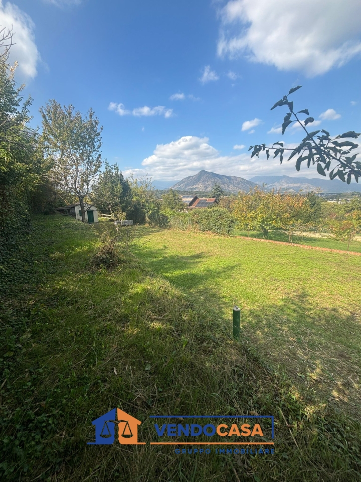 immagine annuncio 1 di 8