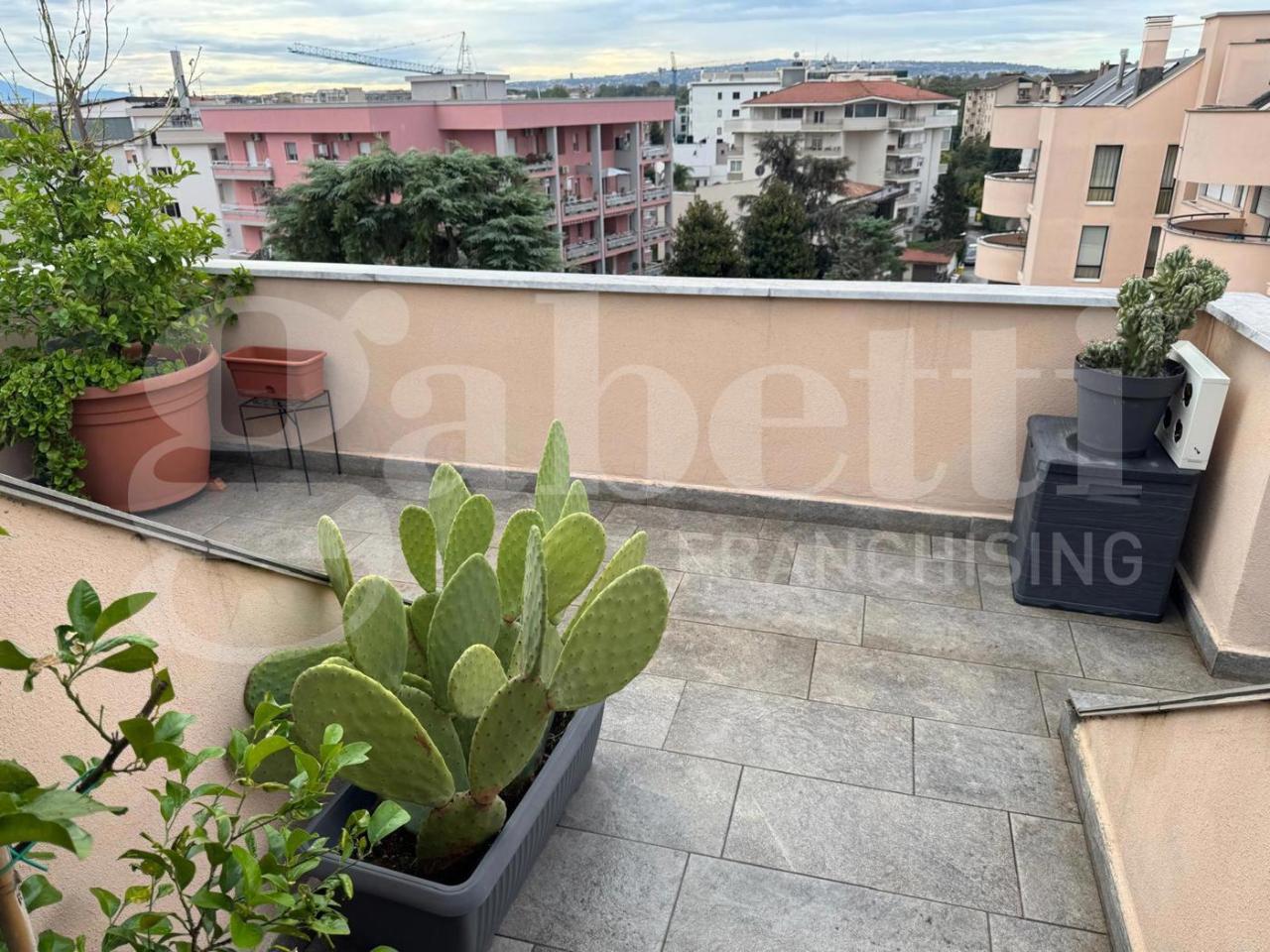 immagine annuncio 4 di 6