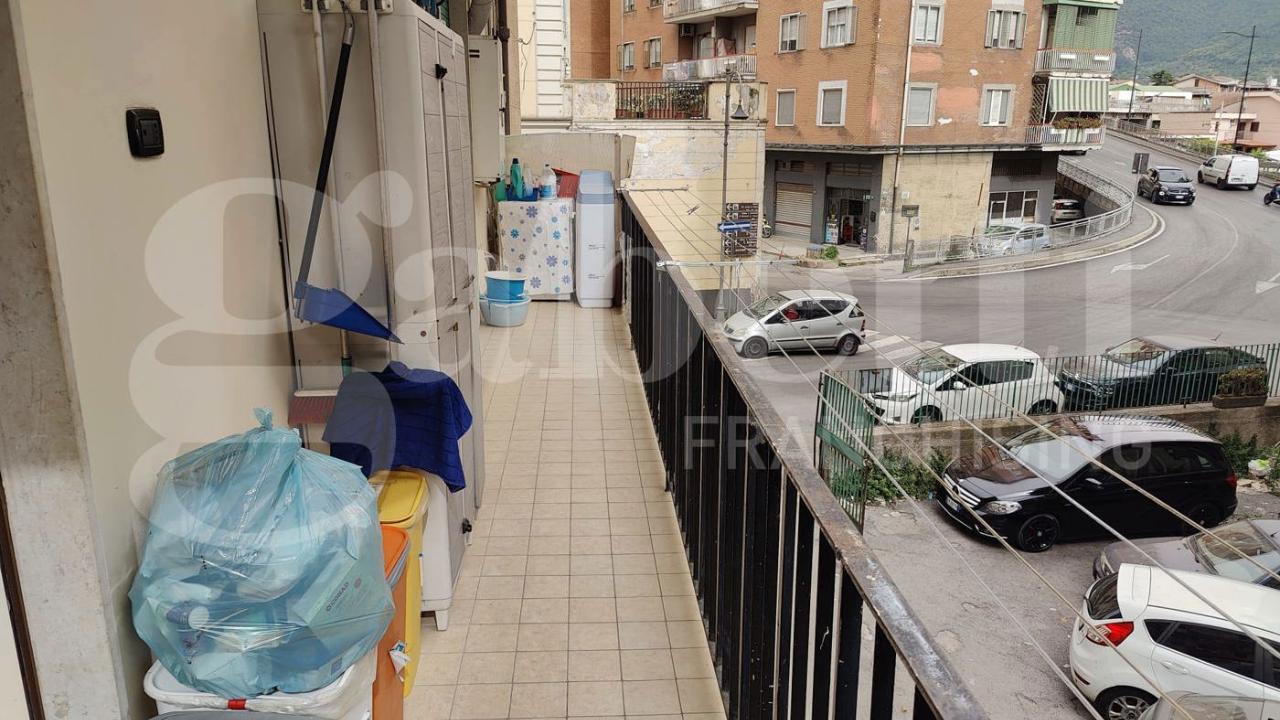 immagine annuncio 5 di 11