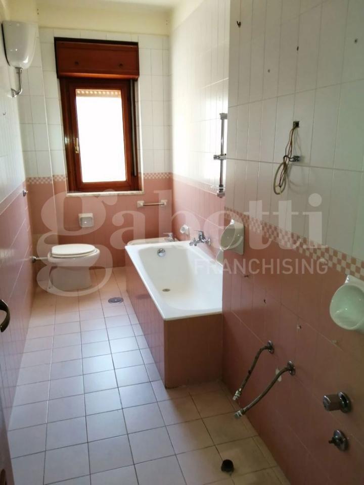 immagine annuncio 11 di 14