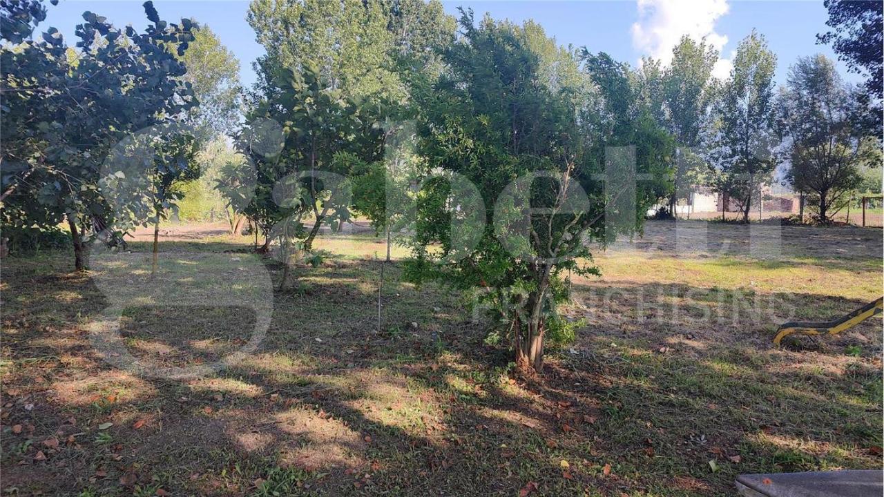 immagine annuncio 1 di 8