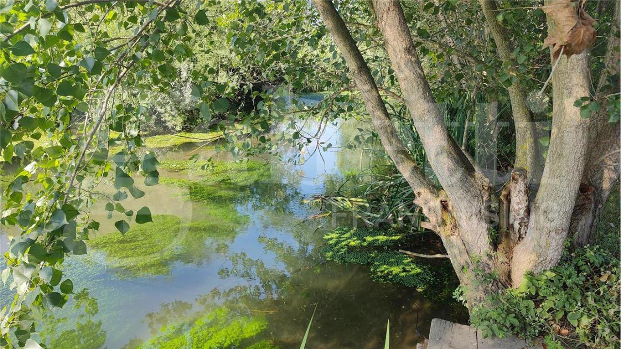 immagine annuncio 3 di 8