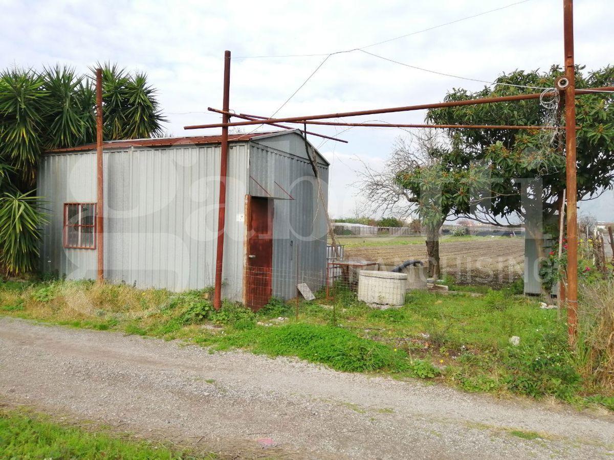 immagine annuncio 1 di 6