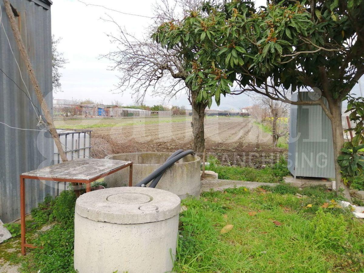 immagine annuncio 5 di 6