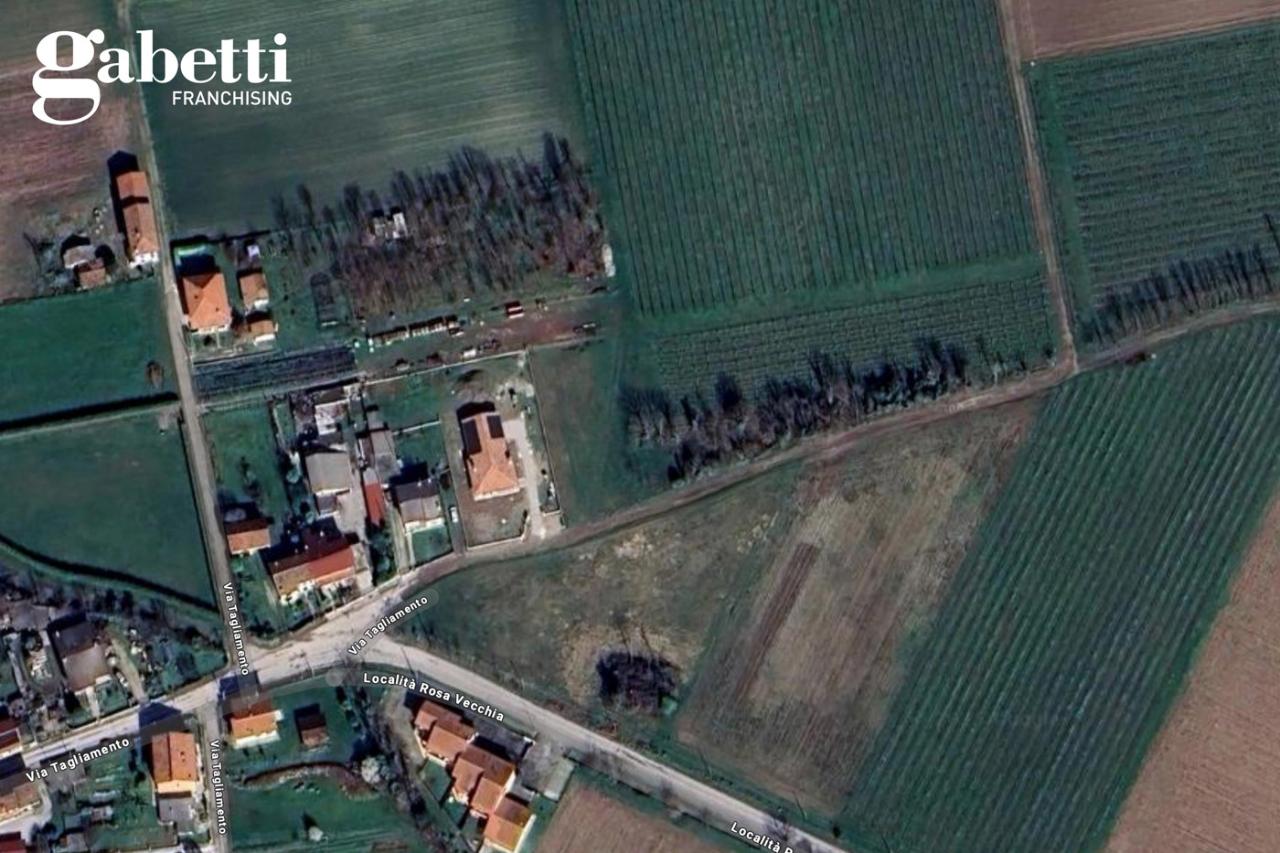 immagine annuncio 3 di 7