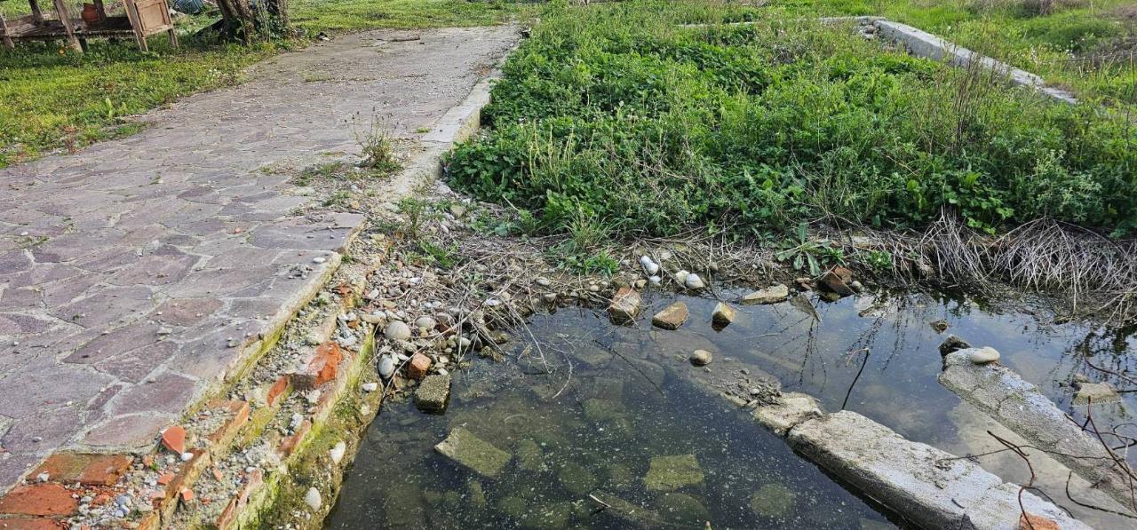 immagine annuncio 6 di 7