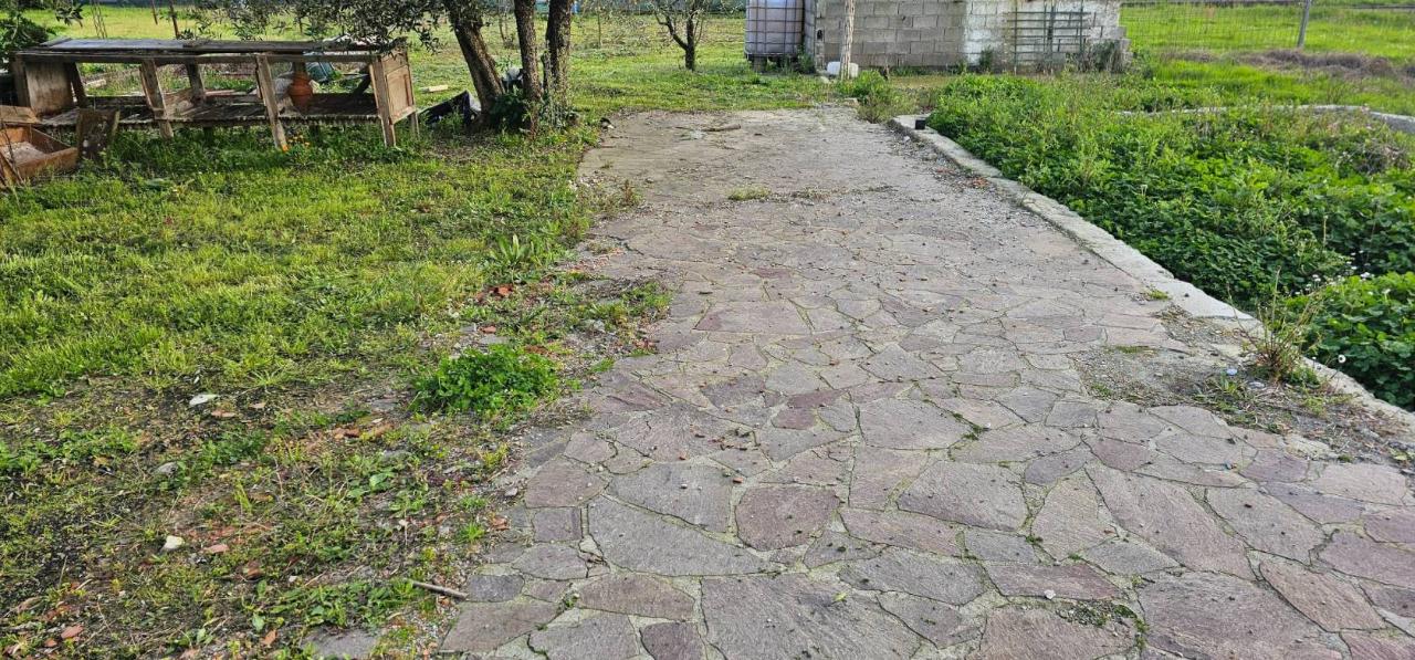 immagine annuncio 3 di 7