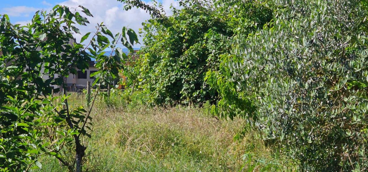 immagine annuncio 3 di 9