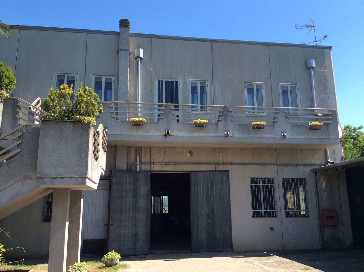 Palazzina commerciale in Gavello Strada Provinciale 31, Gavello, {3} - Foto 2