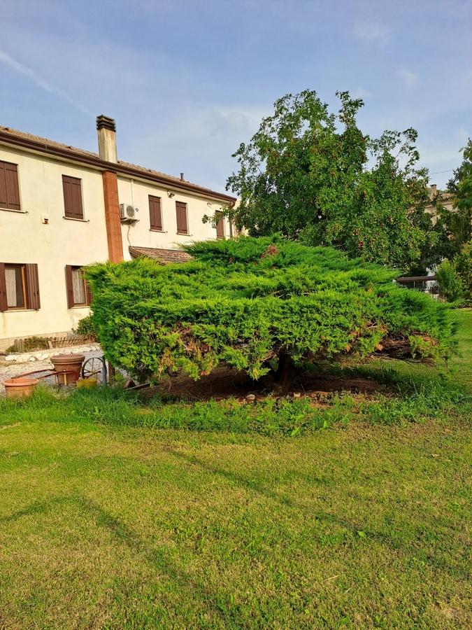 Casa indipendente in vendita a Adria