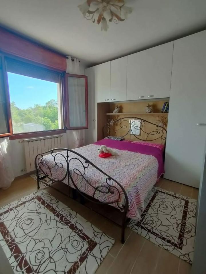 immagine annuncio 9 di 14