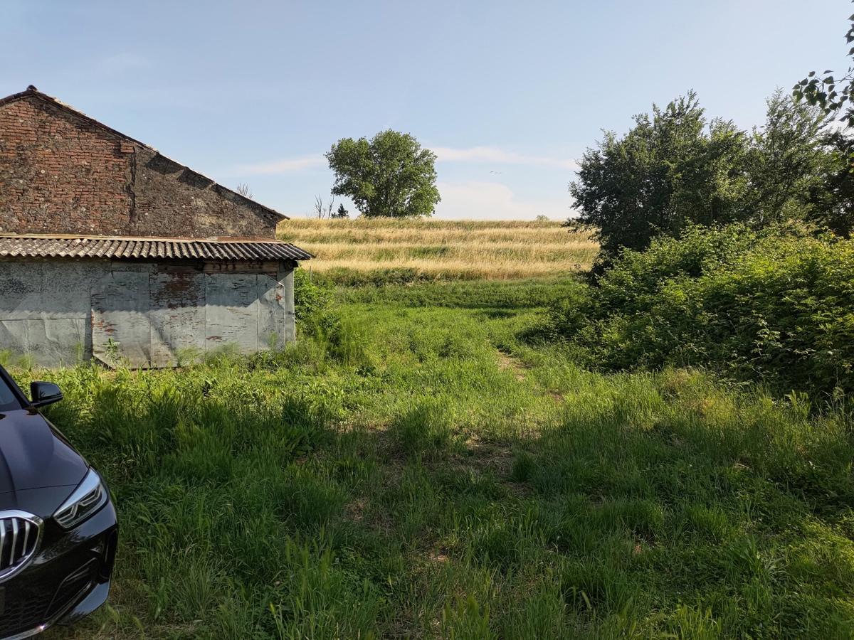 immagine annuncio 3 di 11