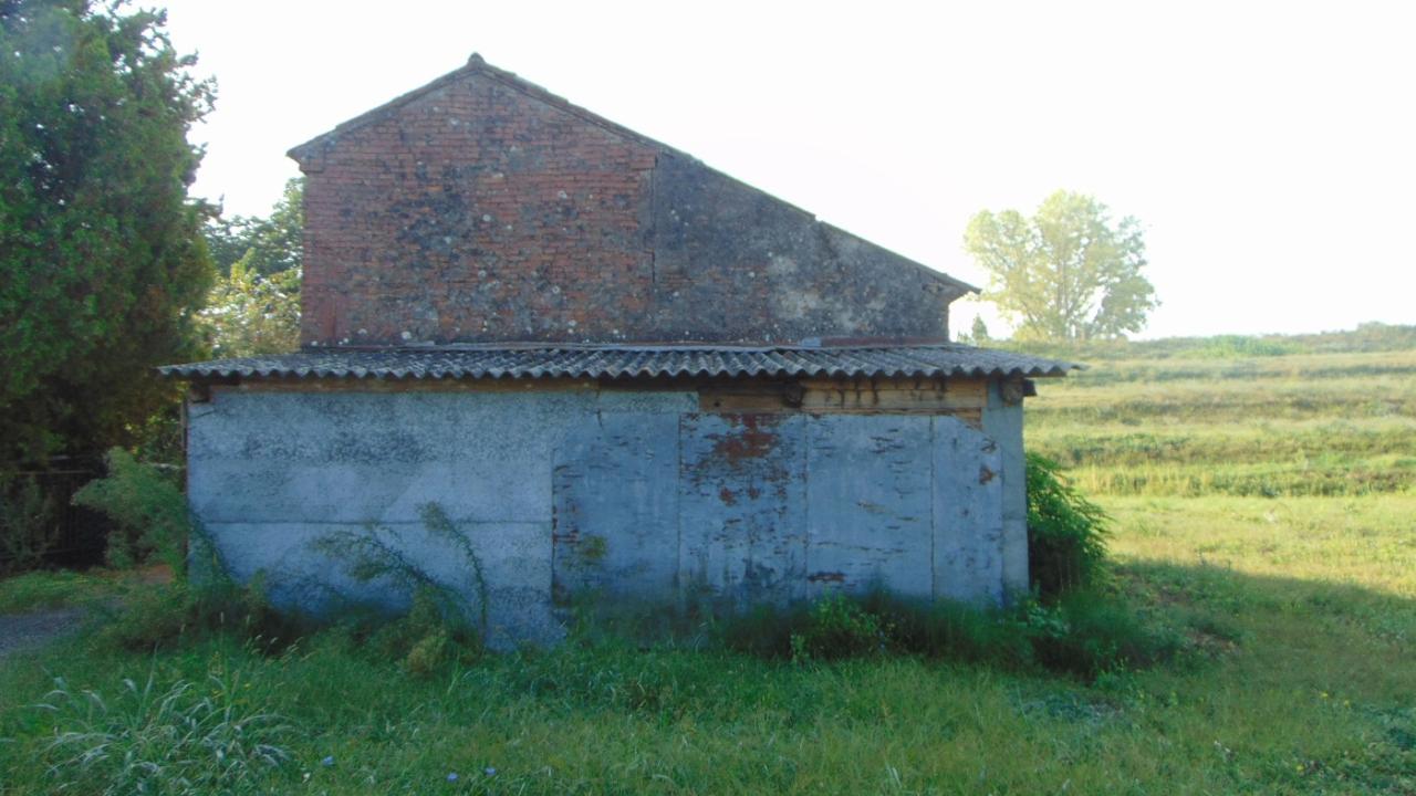 immagine annuncio 8 di 11