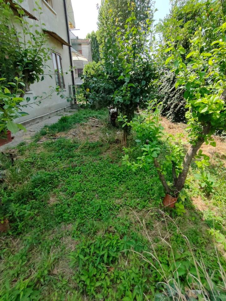 immagine annuncio 5 di 8
