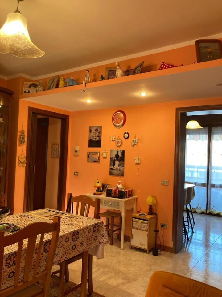 immagine annuncio 5 di 14
